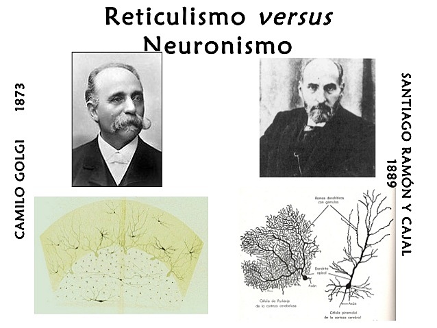Santiago Ramón y Cajal