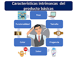 1.4 Características del Producto