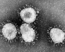 WHO Issues Global Alert for Severe Acute Respiratory Syndrome (SARS)