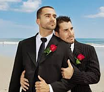Gay marriages in the US