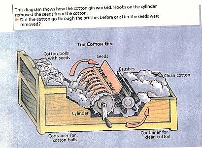 Whitney improved the steam engine.