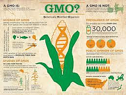 GMO foods