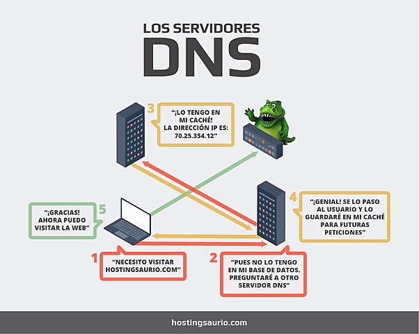Se crea el DNS