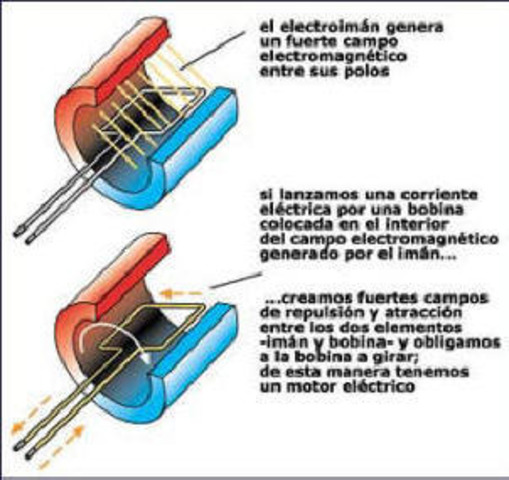 polaridad de las cargas electricas