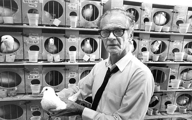 El trabajo de Skinner