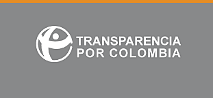 Nacimiento del "Monitor Ciudadano"