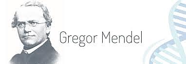 GREGOR MENDEL