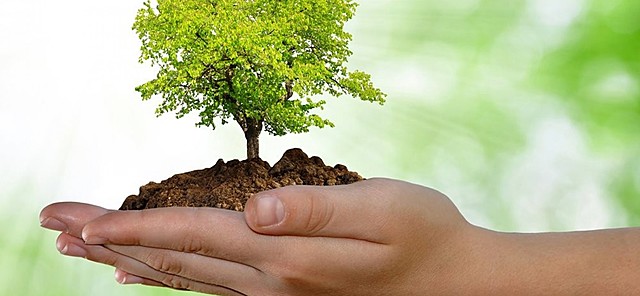 Ley del Medio Ambiente