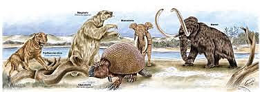 La agricultura y fauna.