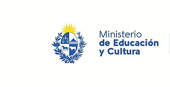 Conformación del Área de Educación No Formal