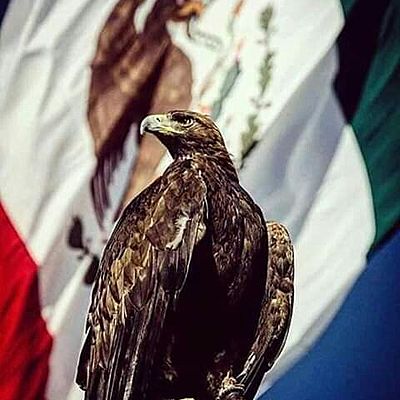 Timeline: Economía Mexicana de los años 1940-1982