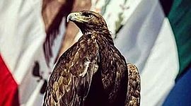 Timeline: Economía Mexicana de los años 1940-1982