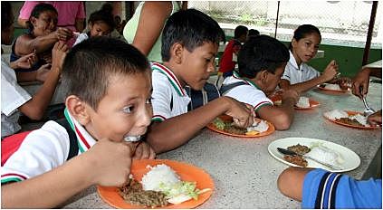 Programas enfocados en el apoyo de consumidores