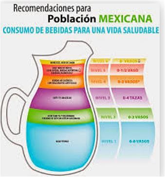 Recomendaciones para la Población Mexicana en el Consumo de Bebidas para una Vida Saludable