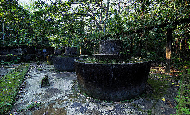 1984 "Gorgona Ecological Sanctuary"