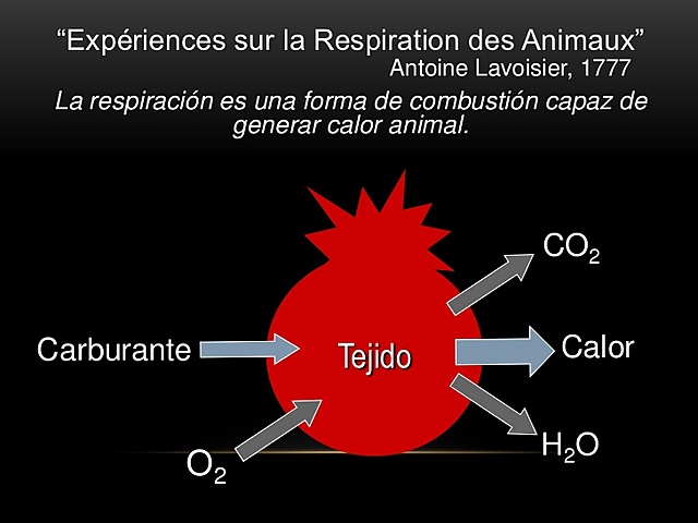 Respiración