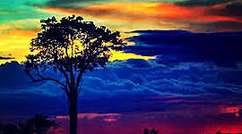 Timeline: ACUERDO DE PAZ ENTRE EL GOBIERNO DE JUAN MANUEL SANTOS Y LAS FARC-EP