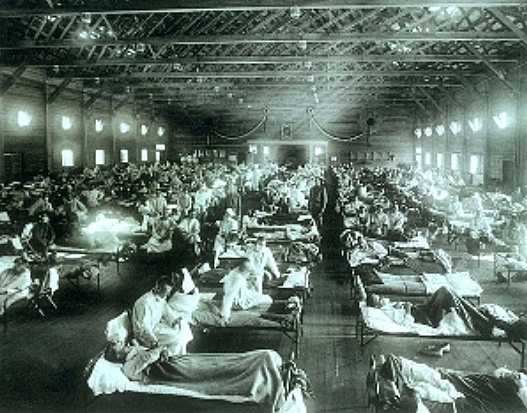 La grip espanyola (1918-1920)