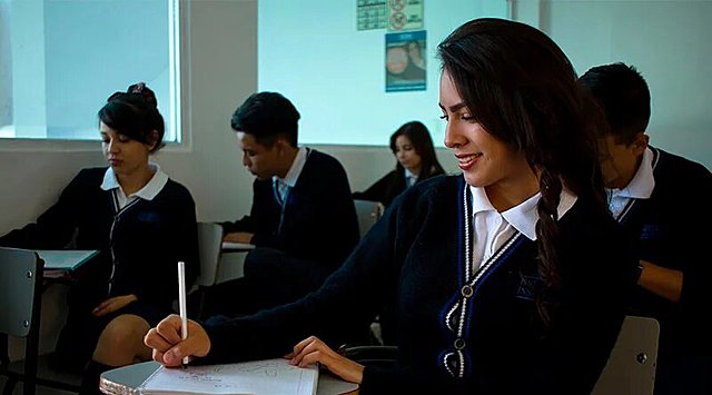 Propuesta: Desarrollo Psicopedagógico.