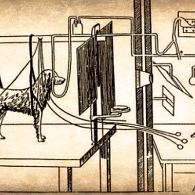 Timeline: Evolución del Condicionamiento Clásico y Condicionamiento Operante.
