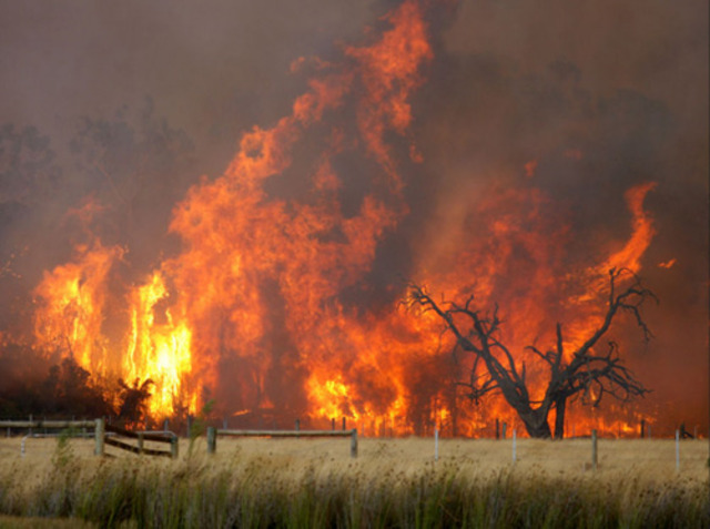 Victorian Bushfires