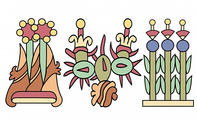 Aztec forms allience