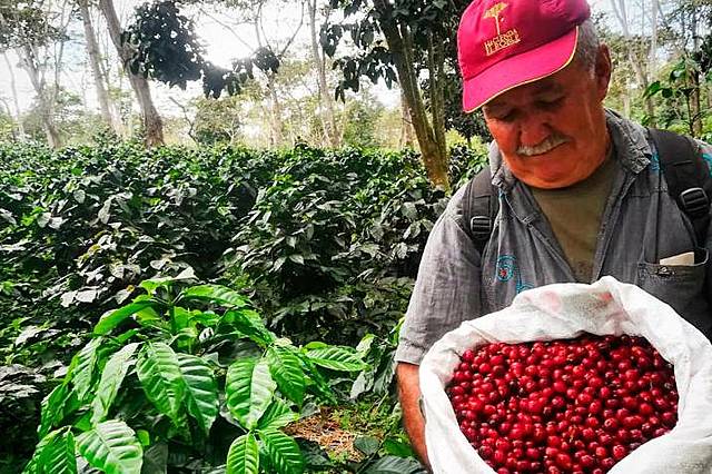 Café de Santander, en el ranking de los mejores del mundo