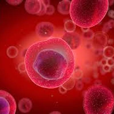 Timeline: Cell Theory