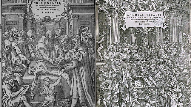 DE BATALLAS Y CONTAGIOS