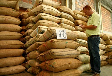 Se abren importantes oportunidades para cafés especiales colombianos
