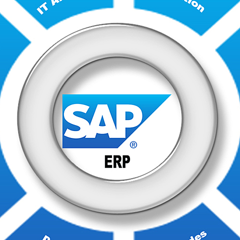 Competencia a ERP SAP