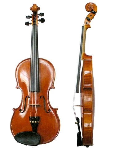 violin