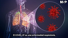 Timeline: PANDEMIA MUNDIAL DEL COVID 19 (31 de Diciembre / 30 de Abril del 2020)