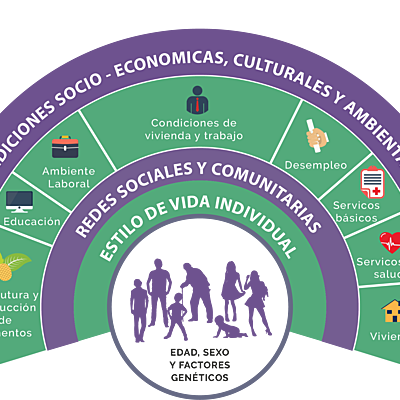 Timeline: Antecedentes de los determinantes de la salud