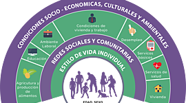 Timeline: Antecedentes de los determinantes de la salud