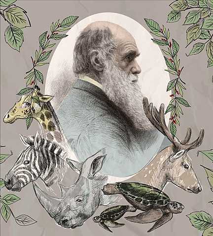 Darwinismo y selección natural (1859)