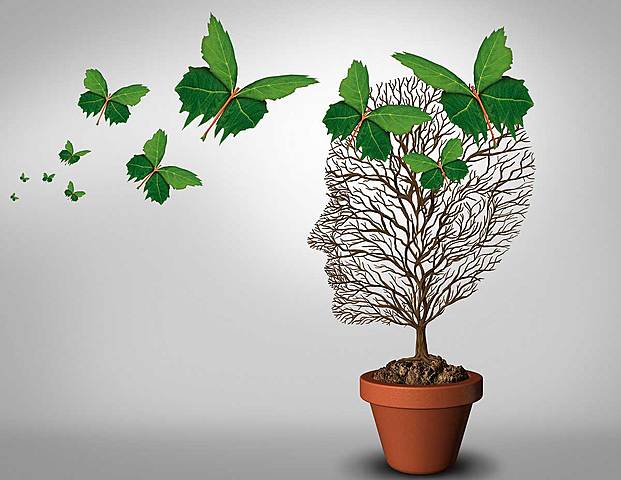 Semana 14 - Logoterapia