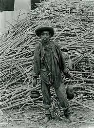 LLEGADA DE LOS CHINOS