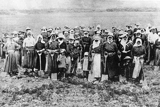 LLEGADA DE LOS JAPONESES