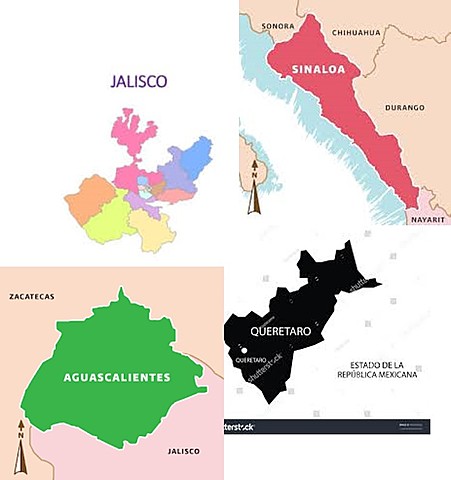Primeros Estados que promulgaron leyes de acceso a la información