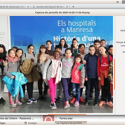 Timeline: linia del temps