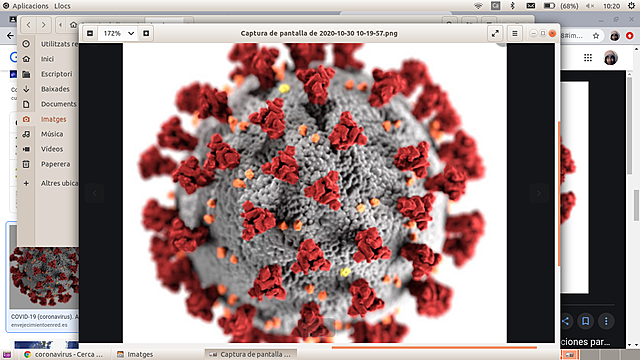 Coronavirus