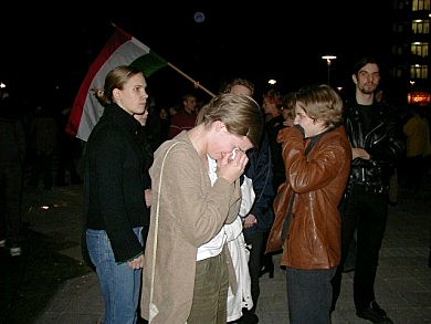 2006-os választás
