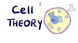Timeline: Cell Theory Timeline