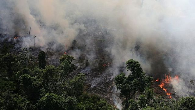 Wildfires in Brazil's rainforest