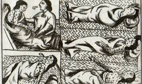 Smallpox came to the Inca empire.