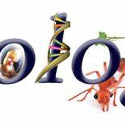 Timeline: Life and Evolution timeline