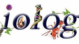 Timeline: Life and Evolution timeline