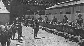 Timeline: Gobiernos Conservadores (1880-1899)