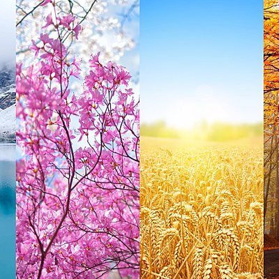 Timeline: Времена года